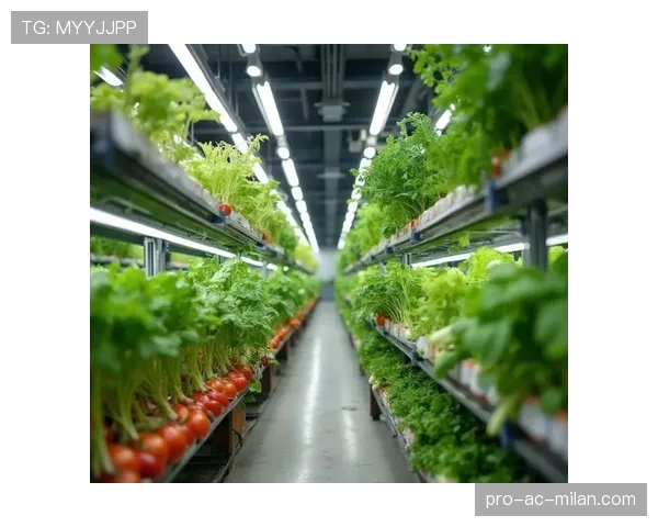 补光灯在夜晚照射草皮的几小时,花草补光灯